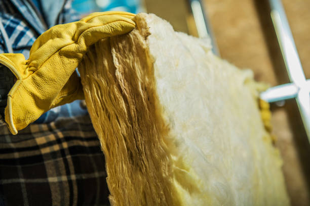 Best Geographic-Specific Insulation Services in Northampton, PA